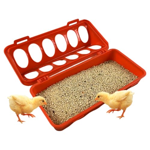 Poultry Feeder Tray, mehrere Feeding Holes, Chicken Coop, 29,9 x 9,4 x 5,6 cm, Zubehör für Quails, Tauben, Vögel, geeignet für den Innen- und Außenbereich Poultry Feeder Tray, mehrere Feeding Holes, Chicken Coop, 29,9 x 9,4 x 5,6 cm, Zubehör für Quails, Tauben, Vögel, geeignet für den Innen- und Außenbereich von Qzdtue