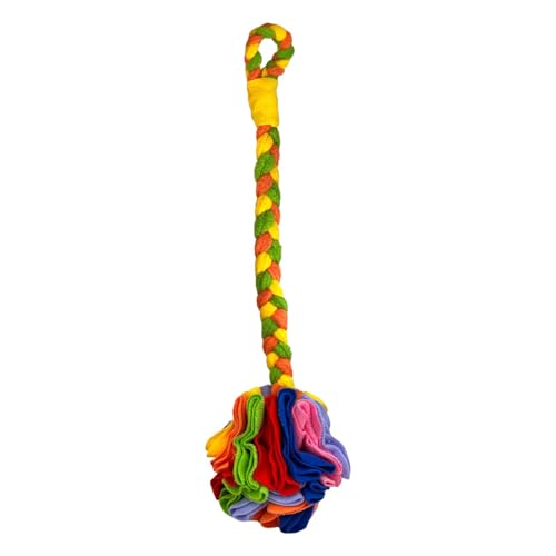 Qzdtue Snuffle Ball Dogs, Soft Interactive Foraging Toy, Entertainment Activity, Pink, Rainbow, Washable Safe Pet Puzzle Ball, Puppy for Dispenser Slow Feeder, Stimulating Playtime Qzdtue Snuffle Ball Dogs, Soft Interactive Foraging Toy, Entertainment Activity, Pink, Rainbow, Washable Safe Pet Puzzle Ball, Puppy for Dispenser Slow Feeder, Stimulating Playtime von Qzdtue