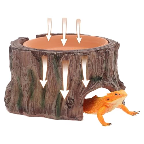 Reptilien-Lebensraum, Simulated Leopard Gecko Umwelt, Feuchtigkeitsdish inklusive, Resin Tank Zubehör, natürlich aussehendes Aquarium, ideal für Zuhause und Studio von Qzdtue