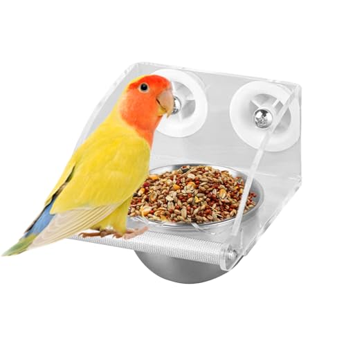 Vogelkäfig, Edelstahl, Lebensmittelbehälter, 4,33 x 5,91 x 4,13 Zoll, wasserdicht, transparent, mit Stange, für Budgies, Cockatiel, Finches, Conure, Parakeet, Lovebirds Vogelkäfig, Edelstahl, Lebensmittelbehälter, 4,33 x 5,91 x 4,13 Zoll, wasserdicht, transparent, mit Stange, für Budgies, Cockatiel, Finches, Conure, Parakeet, Lovebirds von Qzdtue