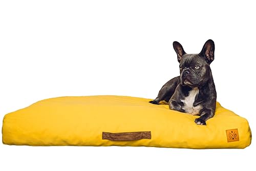 Roth & Bock - The German Pet Brand, Hundezubehör, Oeko-Tex Standard 100 orthopädisches Hundebett Soft Foam Hundebett mittelgroße Hunde, Hundebett Grosse Hunde, Hundebett waschbar Canvasstoff. Gelb, L von R B ROTH & BOCK ····· THE GERMAN PET BRAND