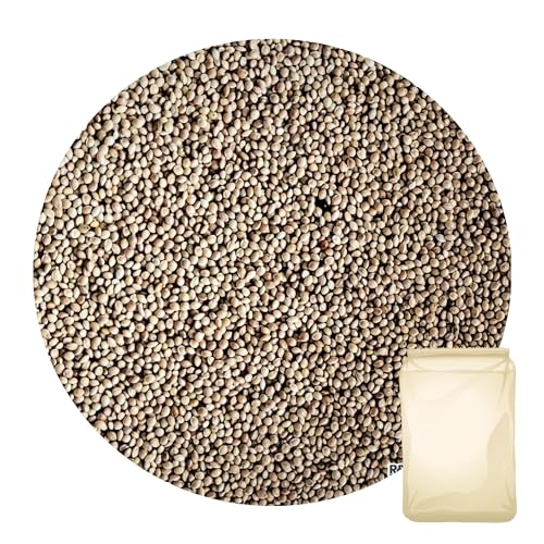 R&M Weiße Hirse 0.8 kg | Saat Wellensittich Vogelfutter Kanarien Körnerfutter R&M Weiße Hirse 0.8 kg | Saat Wellensittich Vogelfutter Kanarien Körnerfutter von R&M Futter und Lebensmittel GmbH