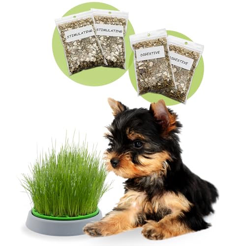 R&R SHOP – Doppelsamen-Hundegras-Set – Keimtopf, 2 Arten Hundegras, stimulierend und verdauungsfördernd, 4 Beutel mit Samen und Substrat, geeignet für alle Hunde von R&R SHOP