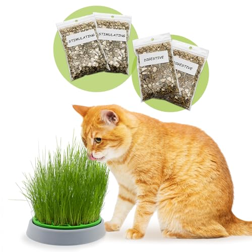 R&R SHOP - Double Seeds Katzenminzenset - Keimtopf, 2 Arten Katzenminze, Stimulans und Verdauungstrakt, 4 Beutel Samen und Substrat, geeignet für alle Katzen von R&R SHOP