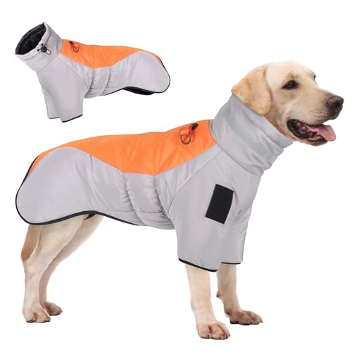 R2Depot Wasserdichte Warme Hundejacke, Winddichter Winter Hundemantel, Reflektierende Hoher Kragen Hundekleidung für Mittlere Große Hunde (X-Large, Orange) von R2Depot