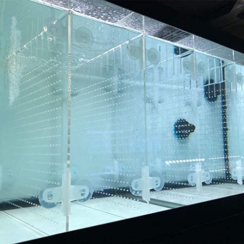 Aquarium-Trennwand-Set aus Acryl, 5,5/10/20L/20H/29/40B/55/75/125 Liter, mit Saugnäpfen, 29 Liter von RA AquaTech