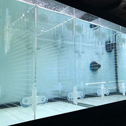 Acryl-Aquarium-Trennwand-Set, 5,5/10/20L/20H/29/40B/55/75/125gal Aquarium mit Saugnäpfen von RA AquaTech