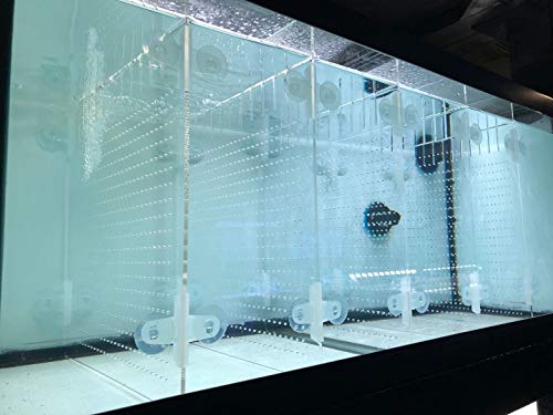 Aquarium-Trennwand aus Acryl, 5,5/10/20L/20H/29/40B/55/75/125 Liter, mit Saugnäpfen von RA AquaTech
