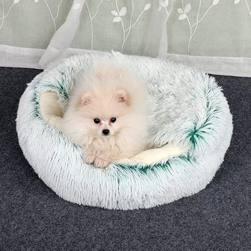 1Pcs Winter 2 In 1 Katze Bett Runde Warme Haustier Bett Haus Lange Plüsch Hund Bett Warme Schlafsack Sofa Kissen Nest Für Kleine Hunde Katzen Kätzchen 1Pcs Winter 2 In 1 Katze Bett Runde Warme Haustier Bett Haus Lange Plüsch Hund Bett Warme Schlafsack Sofa Kissen Nest Für Kleine Hunde Katzen Kätzchen von RAEF