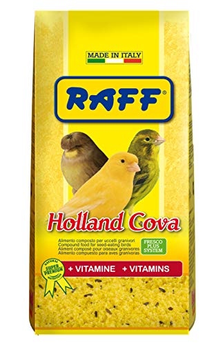 RAFF Holland COVA 1 kg – mit Vitaminen Futtermittel für Großvögel von RAFF