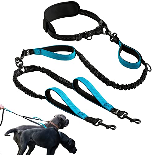 RAHBI Doppelleine für 2 Hunde, Hundeleine für kleine und mittelgroße Hunde, 6 feet, Schwarz, Nylon, Einfarbig mit Reflektierenden Nähten, Bauchgurt Hundeleine zum Laufen, Joggen, Wandern RAHBI Doppelleine für 2 Hunde, Hundeleine für kleine und mittelgroße Hunde, 6 feet, Schwarz, Nylon, Einfarbig mit Reflektierenden Nähten, Bauchgurt Hundeleine zum Laufen, Joggen, Wandern von RAHBI