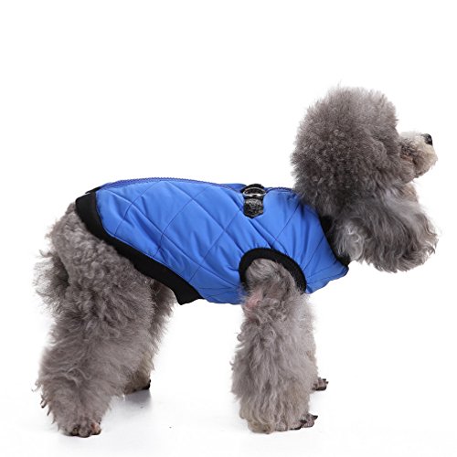 Jacke for kleine Hunde mit D-Ring Haustierweste Geschirr Welpen Winter Baumwolle gefütterter Mantel Warme Kleidung Chihuahua Kostüme Mädchen Jungen Blau XL/179 (Color : Blue, Size : XL) von RAHYMA