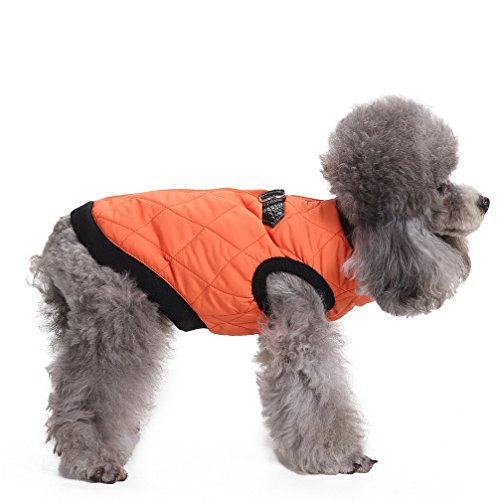 Jacke for kleine Hunde mit D-Ring Haustierweste Geschirr Welpen Winter Baumwolle gefütterter Mantel Warme Kleidung Chihuahua Kostüme Mädchen Jungen Blau XL/179 (Color : Orange, Size : XS) von RAHYMA