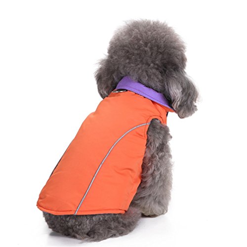 Wendejacke for kleine Hunde mit D-Ring, reflektierende Weste for Haustiere, Hundegeschirr, Winter, baumwollgefütterter Mantel, warme Kleidung, Chihuahua, Kostüme, Mädchen, Jungen, Orange, Größe L/178 von RAHYMA