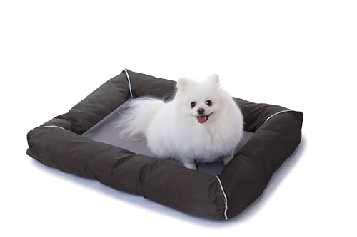 RAIKOU Hundebett Hundesofa Katzenbett Tierbette Bezug abnehmbar und waschbar Boden wasserabweisend Abti Rutsch (80 * 60cm, Braun) von RAIKOU