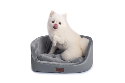 RAIKOU Mittelgroße Hundebett, Rund Hundekorb Weich Bequem rutschfest Hundesofa, rutschfestes und kratzfestes Hundesofa,Haustierbett für Kleine Mittelgroß Hunde und Katzen.(Dunkel Grau,45 * 34 * 17cm) RAIKOU Mittelgroße Hundebett, Rund Hundekorb Weich Bequem rutschfest Hundesofa, rutschfestes und kratzfestes Hundesofa,Haustierbett für Kleine Mittelgroß Hunde und Katzen.(Dunkel Grau,45 * 34 * 17cm) von RAIKOU