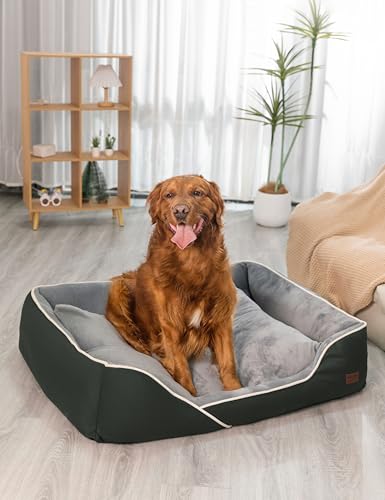 RAIKOU Weiches Hundebett – Gepolstertes Waschbares Haustierbett, Kuscheliges Plüsch Hundekissen, Hundesofa und Hundekorb (Dunkelgrün, 100x80x9 cm) von RAIKOU