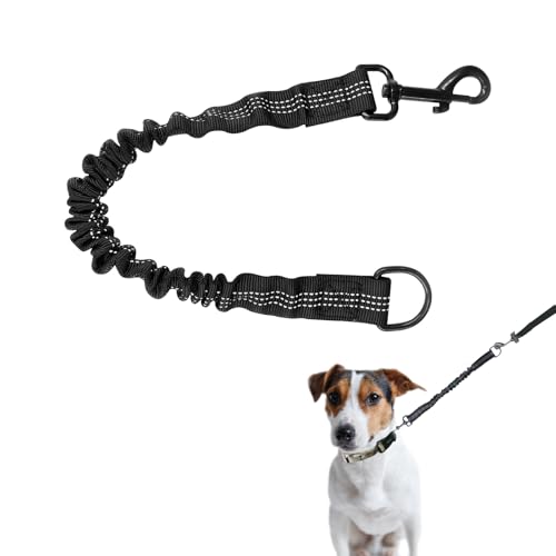 Ruckdämpfer Hund, Verwicklungsfreie Elastische Hundeleine Leine mit Zugdämpfung, Leinenverlängerung für Jede Hundeleine, Nylon-Kurzleine Perfekte Dämpfung beim Fahrrad für Hunde Ruckdämpfer Hund, Verwicklungsfreie Elastische Hundeleine Leine mit Zugdämpfung, Leinenverlängerung für Jede Hundeleine, Nylon-Kurzleine Perfekte Dämpfung beim Fahrrad für Hunde von RAMTRIO
