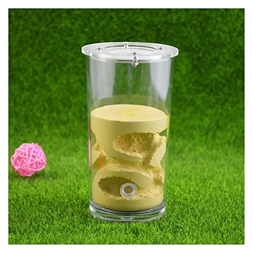 Ameisen-Zuchtnest, Ameisenfarm-Schaukasten, becherförmige Ameisenfarm und Ameisennest-Schale, Gips, Haustierhaus, Reptilien-Terrarium, Insektenzubehör (Color : Pink 67x130mm) ( Color : Yellow 67x130mm von Zewool