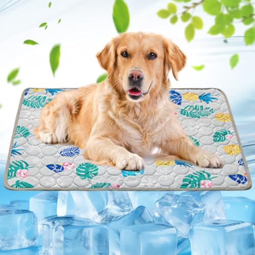 RANJIMA Kühlmatte für Hund Groß,100x70 cm Haustier Kühlmatte, Kühldecke Katzen, Waschbares Selbstkühlende Hundematte,Haustier Eismatte mit Ungiftiges Gel,Kühldecke Hundebett für Kleine Große Haustiere RANJIMA Kühlmatte für Hund Groß,100x70 cm Haustier Kühlmatte, Kühldecke Katzen, Waschbares Selbstkühlende Hundematte,Haustier Eismatte mit Ungiftiges Gel,Kühldecke Hundebett für Kleine Große Haustiere von RANJIMA