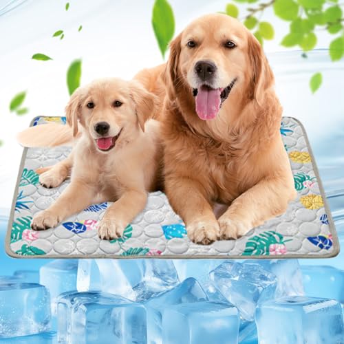 RANJIMA Kühlmatte für Hund Groß,100x70 cm Haustier Kühlmatte, Kühldecke Katzen,Waschbares Selbstkühlende Hundematte, Haustier Eismatte, Kühldecke Hundebett für Kleine Große Haustiere,Dog Cooling Mat RANJIMA Kühlmatte für Hund Groß,100x70 cm Haustier Kühlmatte, Kühldecke Katzen,Waschbares Selbstkühlende Hundematte, Haustier Eismatte, Kühldecke Hundebett für Kleine Große Haustiere,Dog Cooling Mat von RANJIMA