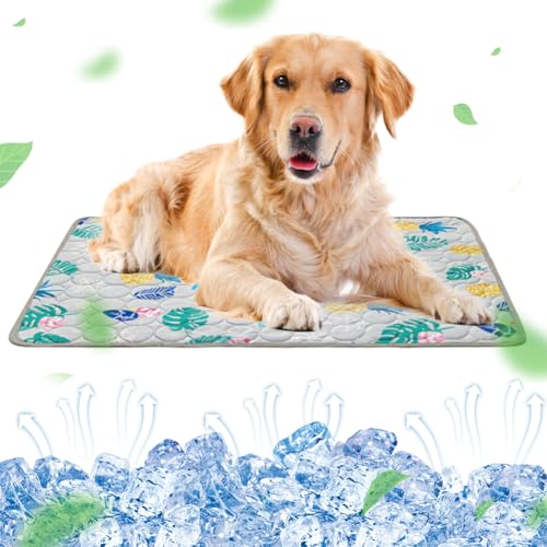 RANJIMA Kühlmatte für Hunde Groß, Selbstkühlend Hundematte 100 * 70cm Kühldecke für Hunde, Ungiftig Waschbar Hund Kühlkissen Hundekühlmatte XL für Drinnen, Draußen und Auto, Grau-01 von RANJIMA