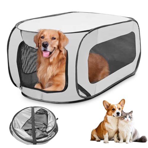 RANJIMA Tragbarer Käfig für Hunde und Katzen, Faltbarer Laufstall für Hunde Haustier-Laufstall Atmungsaktives Netz für Drinnen Draußen Camping Reisen Tierlaufstall Faltbar für Hasen Kleintiere RANJIMA Tragbarer Käfig für Hunde und Katzen, Faltbarer Laufstall für Hunde Haustier-Laufstall Atmungsaktives Netz für Drinnen Draußen Camping Reisen Tierlaufstall Faltbar für Hasen Kleintiere von RANJIMA