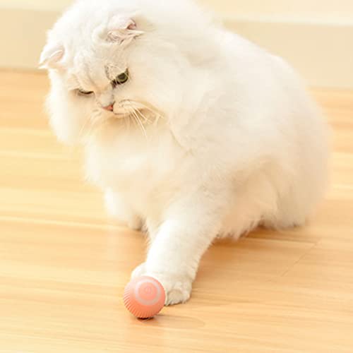 RANRAO Intelligenter interaktiver automatisch rollender Ball für Katzen, für 360° Selbstdrehender Elektrischer Ball Haustier Spielzeug, Beweglicher Fänger Spielzeug für Jagdübungen von RANRAO