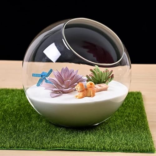 Mikro-Landschafts-Glasvase, Glas-Luftpflanzen-Terrarium, Sukkulenten-Terrarium-Behälter, Tischdekoration, Vase, Topf, Innendekoration für Sukkulenten Mikro-Landschafts-Glasvase, Glas-Luftpflanzen-Terrarium, Sukkulenten-Terrarium-Behälter, Tischdekoration, Vase, Topf, Innendekoration für Sukkulenten von RANRAO