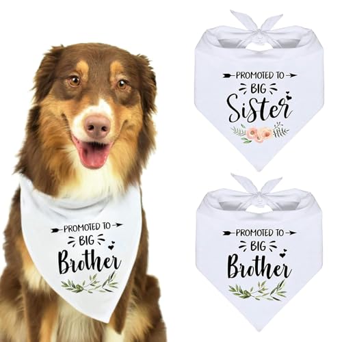 2Stück Haustier-Hundehalstuch,Verstellbares Bequemes Lätzchen,Weißes Baumwoll-Dreieck-Haustier-Bandana,Waschbares Lätzchen mit den Aufschriften „Big Brotherund „Big Sister von RANYAKE