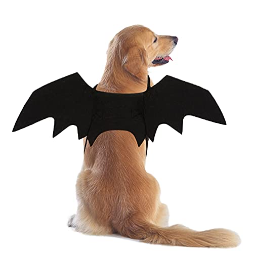 RANYPET Hund Fledermaus Kostüme Halloween Haustier Kostüm Fledermausflügel Cosplay Hundekostüm Katzenkostüm für Party RANYPET Hund Fledermaus Kostüme Halloween Haustier Kostüm Fledermausflügel Cosplay Hundekostüm Katzenkostüm für Party von RANYPET