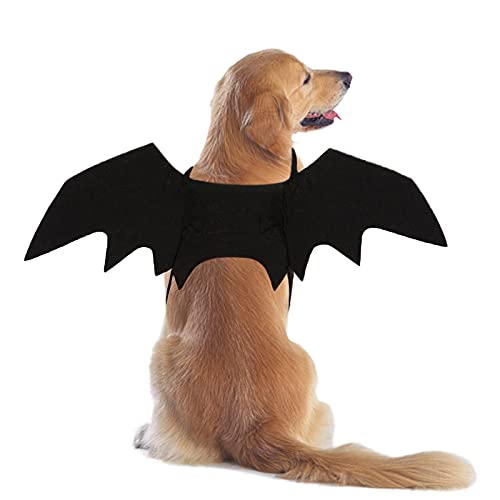RANYPET Hund Fledermaus Kostüme Halloween Haustier Kostüm Fledermausflügel Cosplay Hundekostüm Katzenkostüm für Party von RANYPET