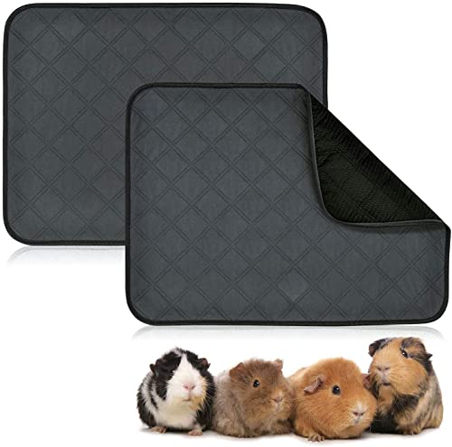 RANYPET PIPI Pads für Meerschweinchen Käfig Einlagen 2 Pack Waschbare Meerschweinchen-PIPI Pads wasserdichte Anti-Rutsch-Meerschweinchen-Bettwäsche Super Absorbierendes Pee-Pad für Kleintiere RANYPET PIPI Pads für Meerschweinchen Käfig Einlagen 2 Pack Waschbare Meerschweinchen-PIPI Pads wasserdichte Anti-Rutsch-Meerschweinchen-Bettwäsche Super Absorbierendes Pee-Pad für Kleintiere von RANYPET