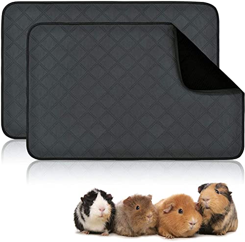RANYPET PIPI Pads für Meerschweinchen Käfig Einlagen 2 Pack Waschbare Meerschweinchen-PIPI Pads wasserdichte Anti-Rutsch-Meerschweinchen-Bettwäsche Super Absorbierendes Pee-Pad für Kleintiere RANYPET PIPI Pads für Meerschweinchen Käfig Einlagen 2 Pack Waschbare Meerschweinchen-PIPI Pads wasserdichte Anti-Rutsch-Meerschweinchen-Bettwäsche Super Absorbierendes Pee-Pad für Kleintiere von RANYPET