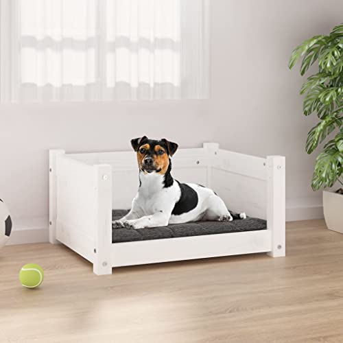 RAUGAJ Hundebett, 55,5 x 45,5 x 28 cm, Kiefer massiv, Farbe: weiß RAUGAJ Hundebett, 55,5 x 45,5 x 28 cm, Kiefer massiv, Farbe: weiß von RAUGAJ
