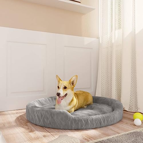RAUGAJ Hundebett grau 70x55x23 cm Plüsch, Artikelfarbe grau RAUGAJ Hundebett grau 70x55x23 cm Plüsch, Artikelfarbe grau von RAUGAJ