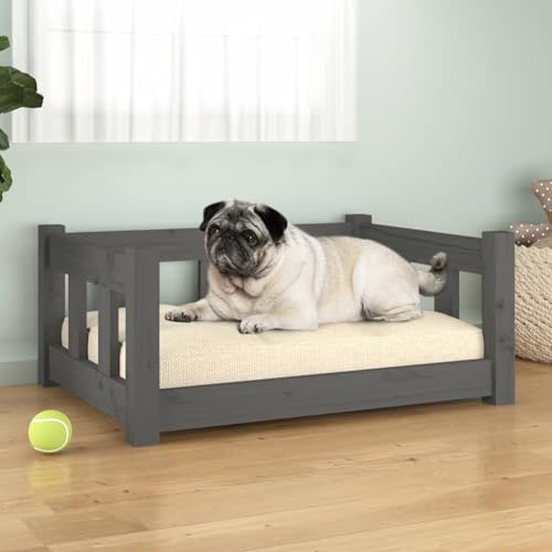 RAUGAJ Pet Supplies-Hundebett, 65,5 x 50,5 x 28 cm, Massivholz, Kiefer, Grau von RAUGAJ