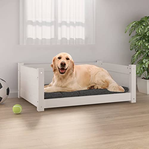 RAUGAJ Pet Supplies-Hundebett Weiß 75,5 x 55,5 x 28 cm Kiefer Massivholz Tiere & Haustierbedarf von RAUGAJ