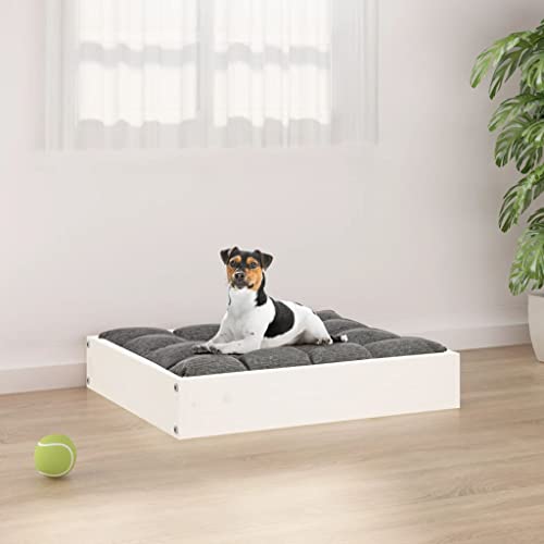 RAUGAJ Wohnmöbel Hundebett weiß 51,5x44x9cm Größe Massivholz Kiefer RAUGAJ Wohnmöbel Hundebett weiß 51,5x44x9cm Größe Massivholz Kiefer von RAUGAJ