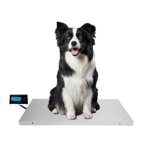 RAVIXIA Digitale Haustierwaage Babywaage Gewichtswaage DREI Wägeeinheiten (kg/oz/lb) LCD-Bildschirm mit Einem Maximum von 660 Pfund Silberne Farbe von ravixia