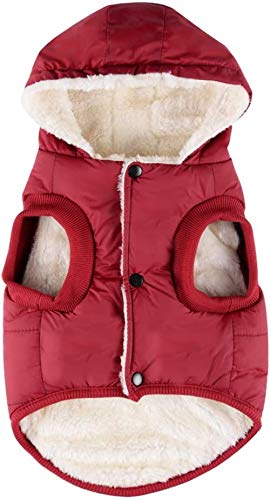 RC GearPro Hundebekleidung Winterjacke mit Kapuze und Kapuze für Katzen und Welpen, für kleine, mittelgroße und große Hunde, XL, rot von RC GearPro