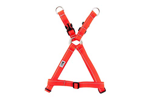 RC Pet Products 1" Primary Collection Step in Dog Harness, Orange, Large von RC Pet Products