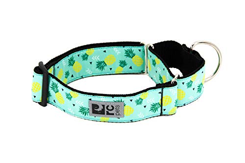 RC Pet Products 61804251 alle Gurtband Martingal Training Hundehalsband, mittel von RC Pet Products