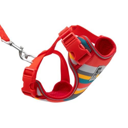 RC Pet Products Adventure Kitty Hundegeschirr, Katzengeschirr, klein, mehrfarbig (53803345) von RC Pet Products