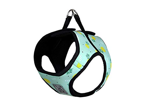 RC Pet Products Cirque Soft Walking Step-In Dog Harness, Pineapple Parade, X-Large von RC Pet Products