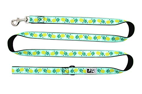 RC Pet Products Hund Leine, Ananas Parade von RC Pet Products