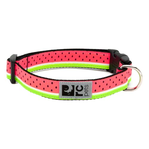 RC Pet Products Hundehalsband, 1,3 cm, verstellbar, Large, Wassermelone von RC Pet Products