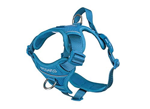 RC Pet Products Momentum Dog Harness, Large, Dark Teal von RC Pet Products