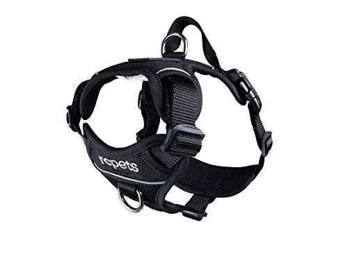 RC Pet Products Momentum Dog Harness, Small, Black RC Pet Products Momentum Dog Harness, Small, Black von RC Pet Products