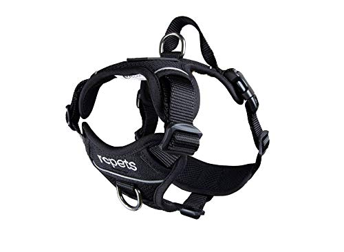 RC Pet Products Momentum Dog Harness, Small, Black von RC Pet Products